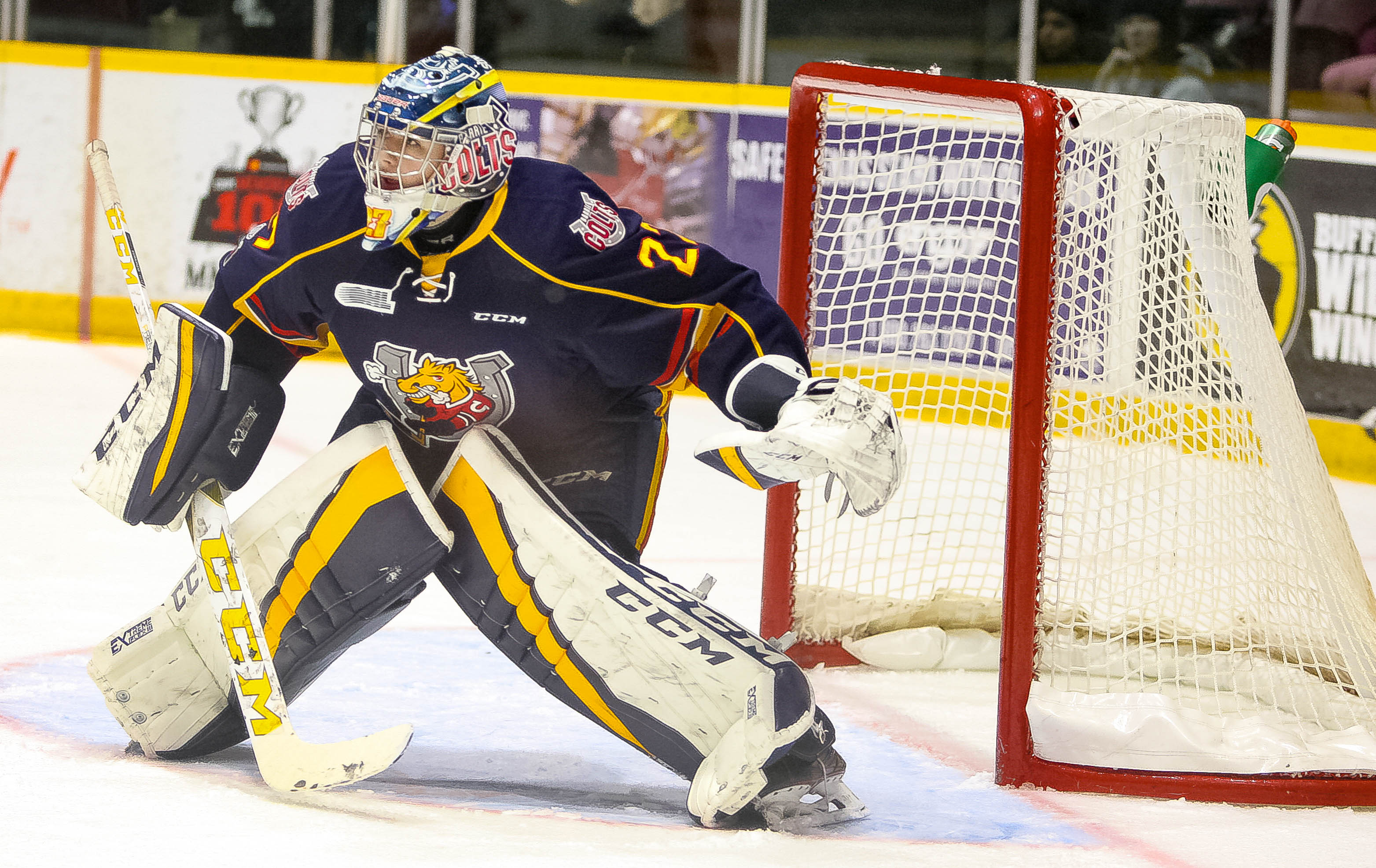 40464362441_f98a8048c2_o