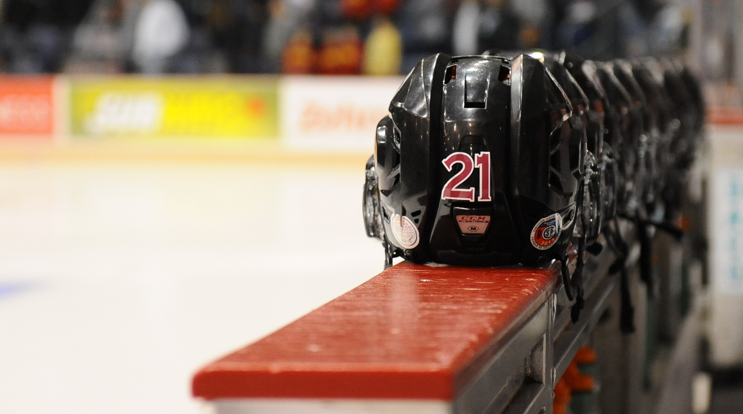 The Guelph Storm. Photo by Aaron Bell/OHL Images