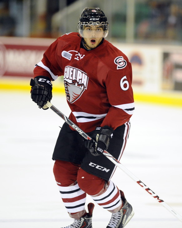 Guelph Storm’s Castle Guelph Storm