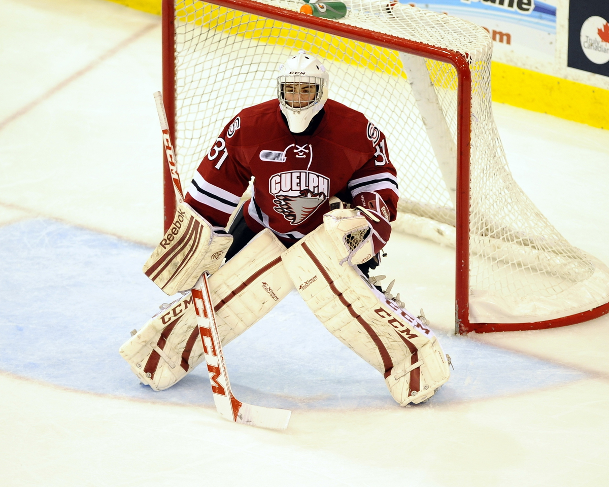 Matthew Mancina of the Guelph Storm. Photo by Aaron Bell/OHL Images