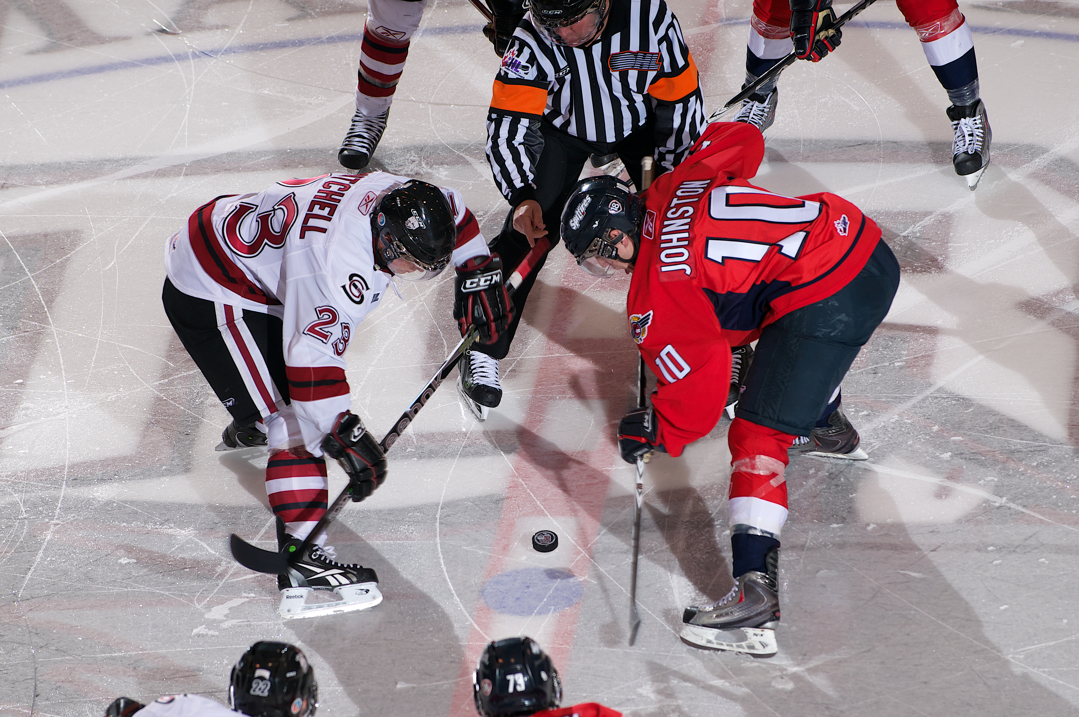 windsorfaceoff