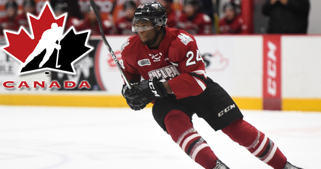 Hockey as a mean to develop national identity