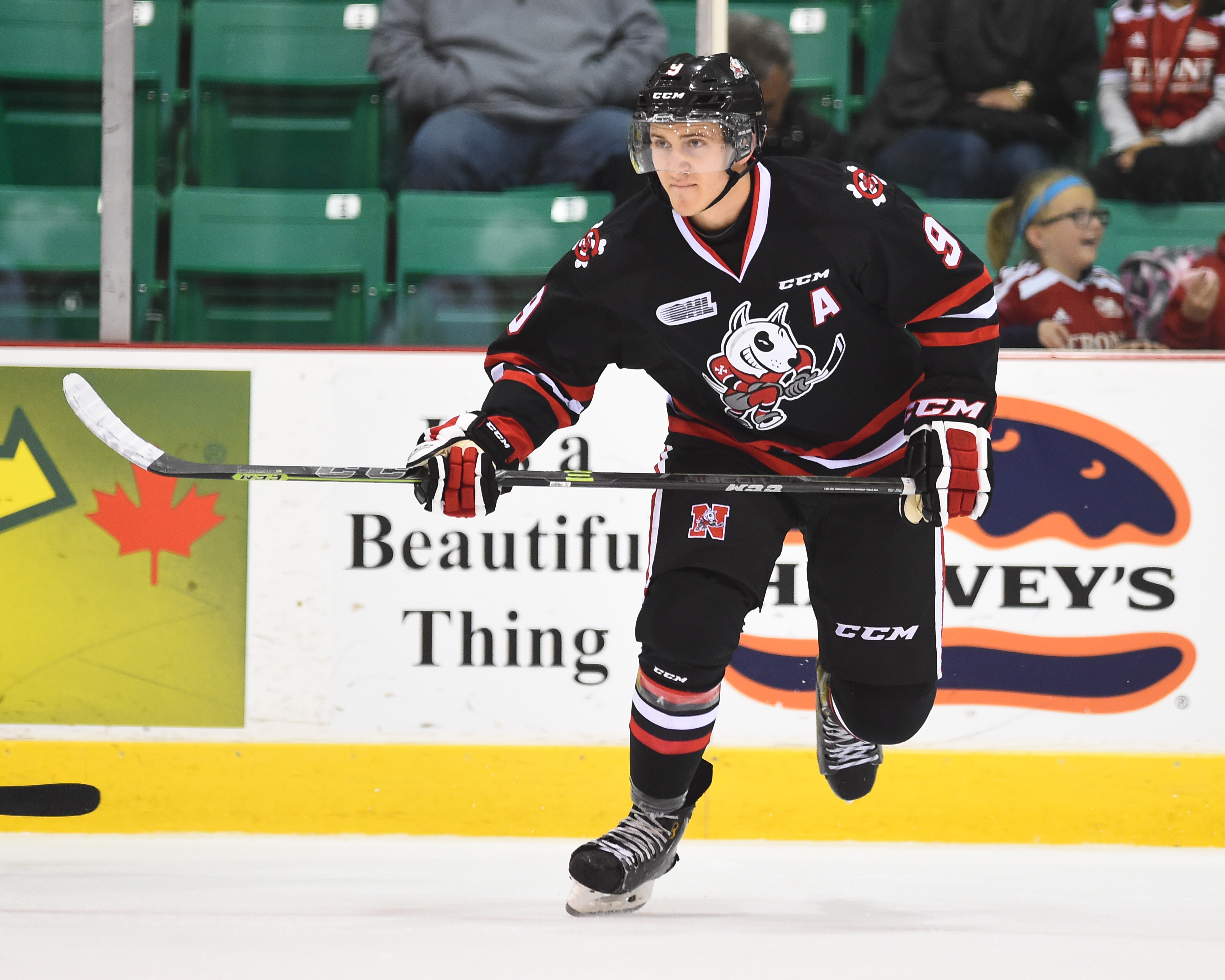 Jordan Maletta of the Niagara IceDogs. Photo by Aaron Bell/OHL Images