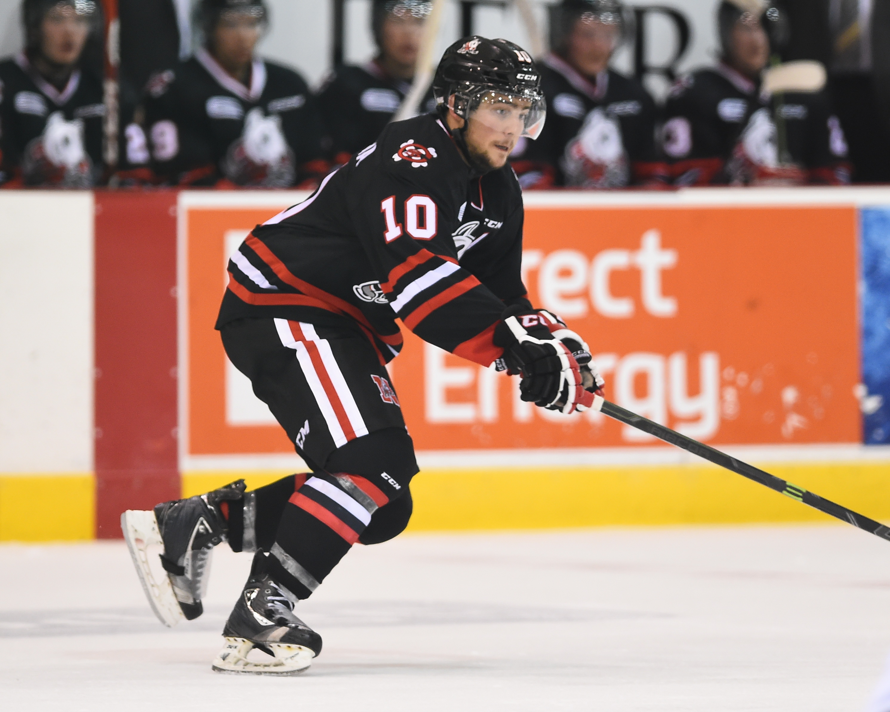 Anthony DiFruscia of the Niagara IceDogs. Photo by Aaron Bell/OHL Images