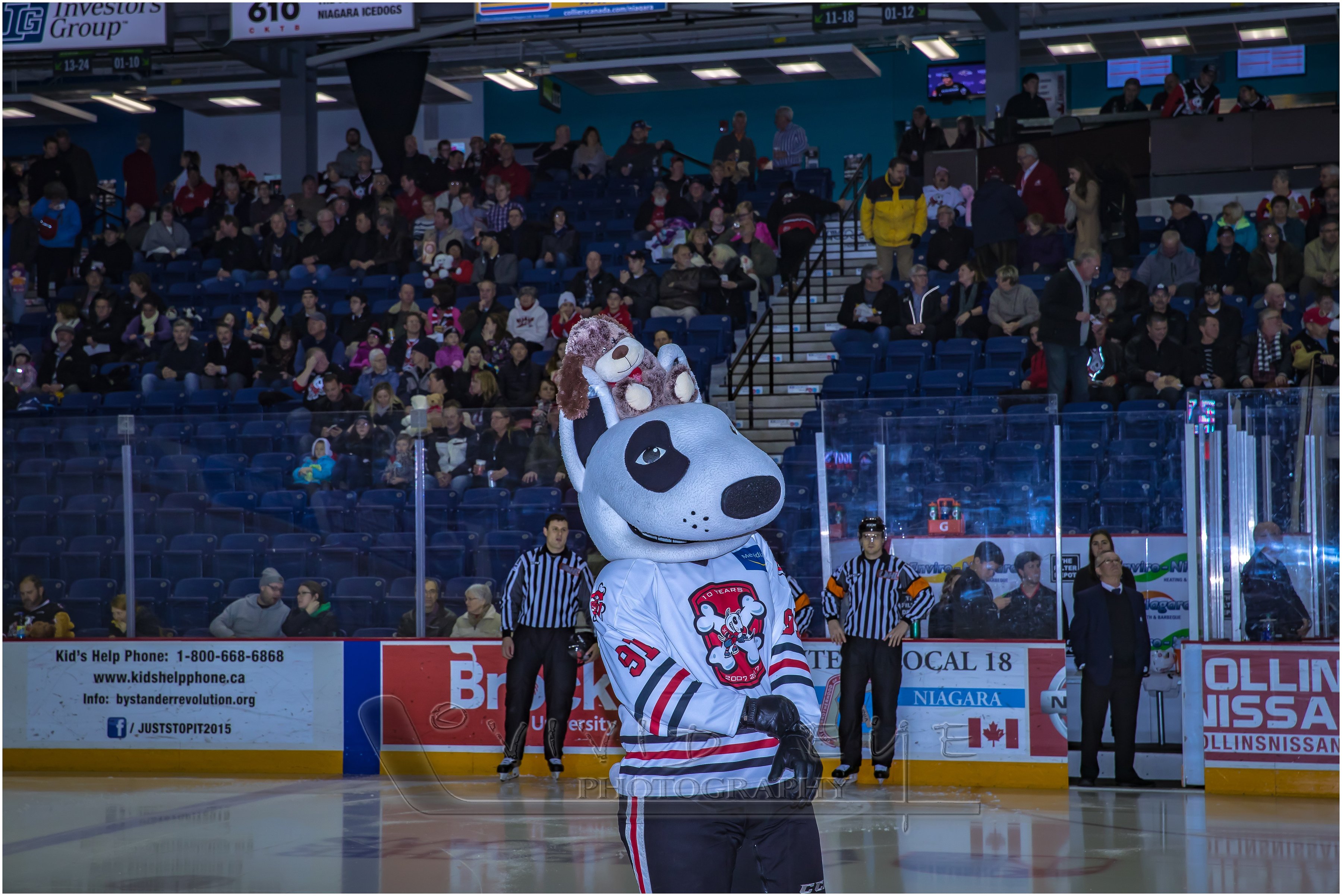 Teddy Bear Toss Photo Gallery Thurs, Dec 8th vs. the Soo Niagara