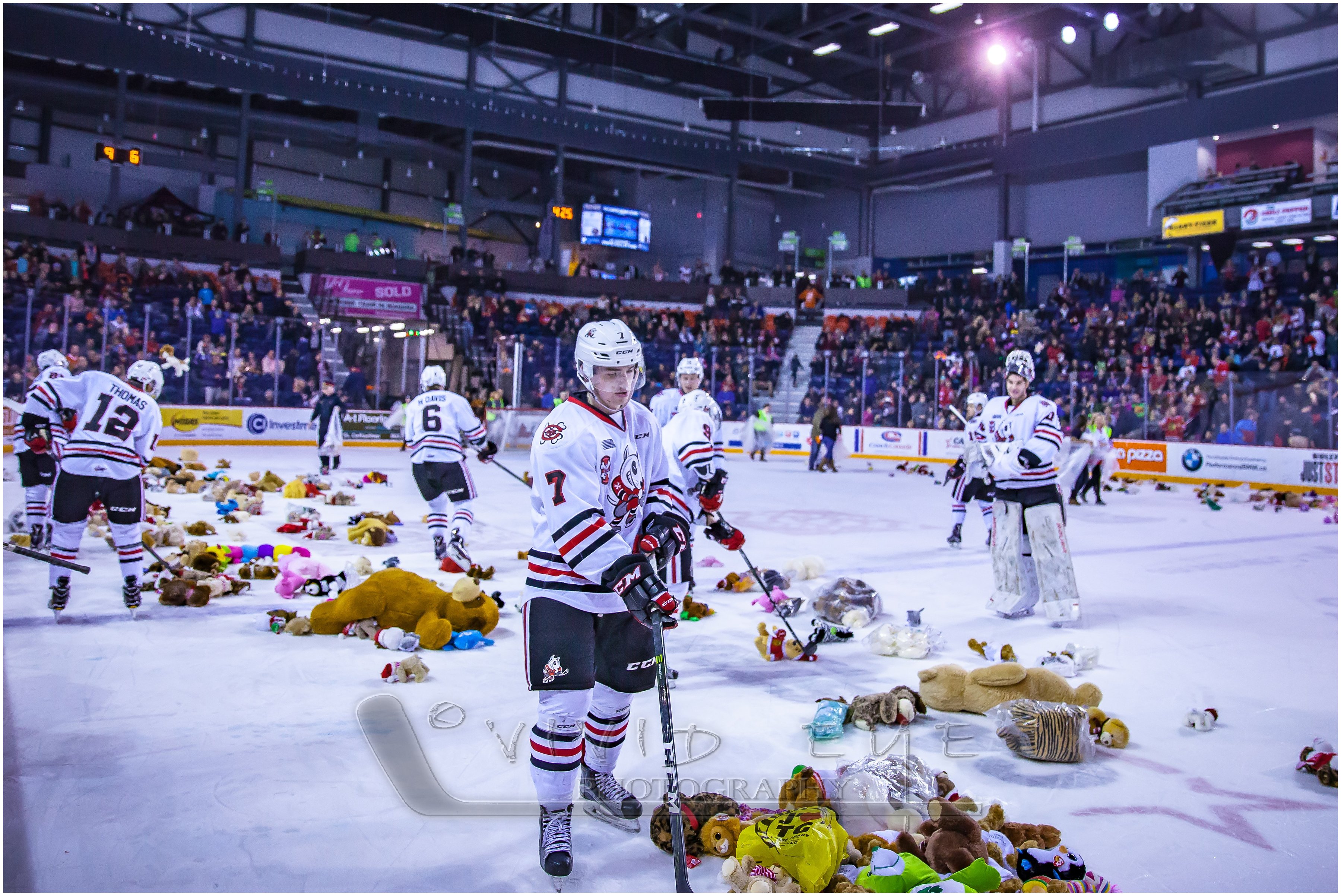 IceDogs Collect 2000 Teddies in Teddy Bear Toss! Niagara IceDogs