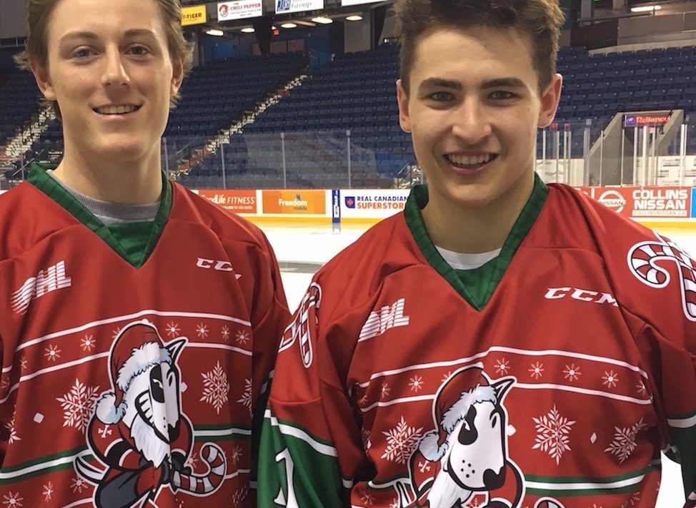 ice dogs jersey