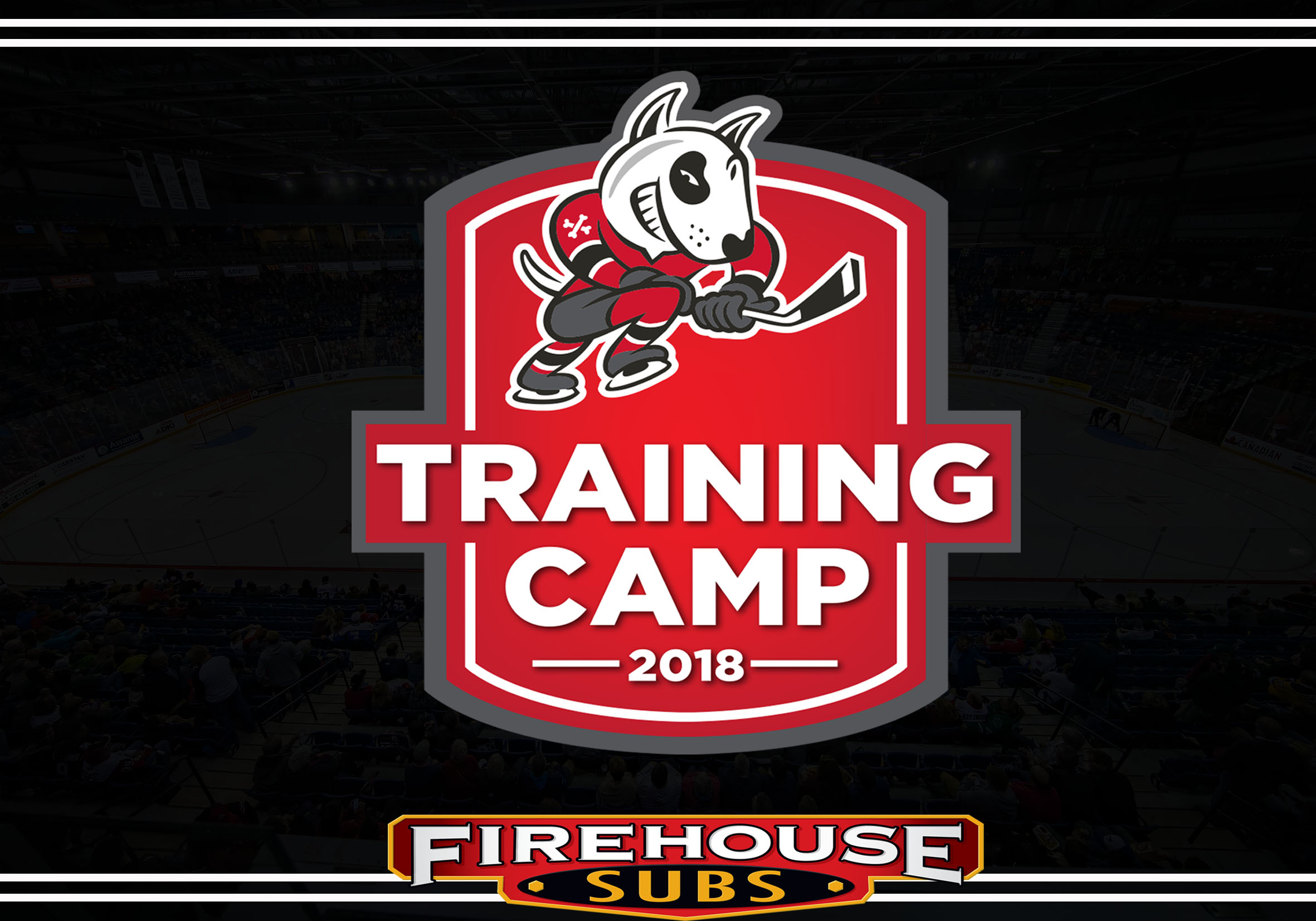 DogsTrainingCamp Recap Day One Niagara IceDogs