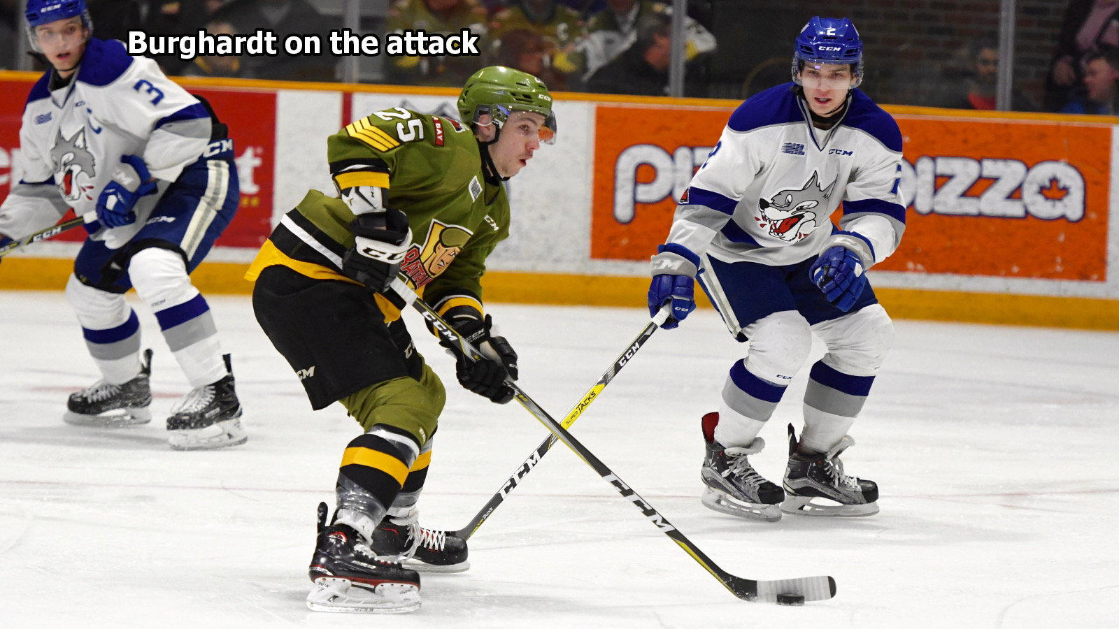 Burghardt on the attack