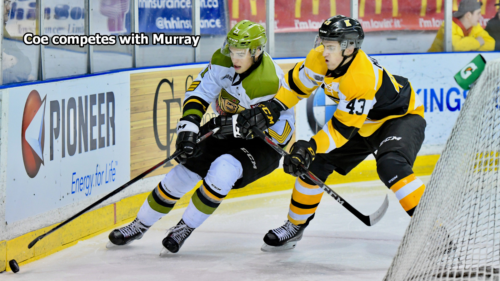 Coe competes with Murray