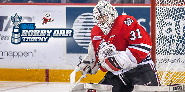 NedeljkovicGraphicWeb