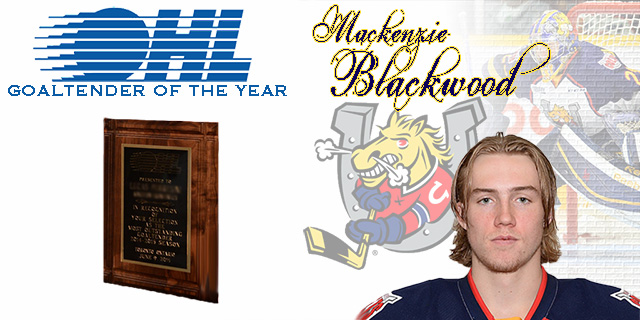 Colts' Mackenzie Blackwood named Pioneer Energy OHL Player of the