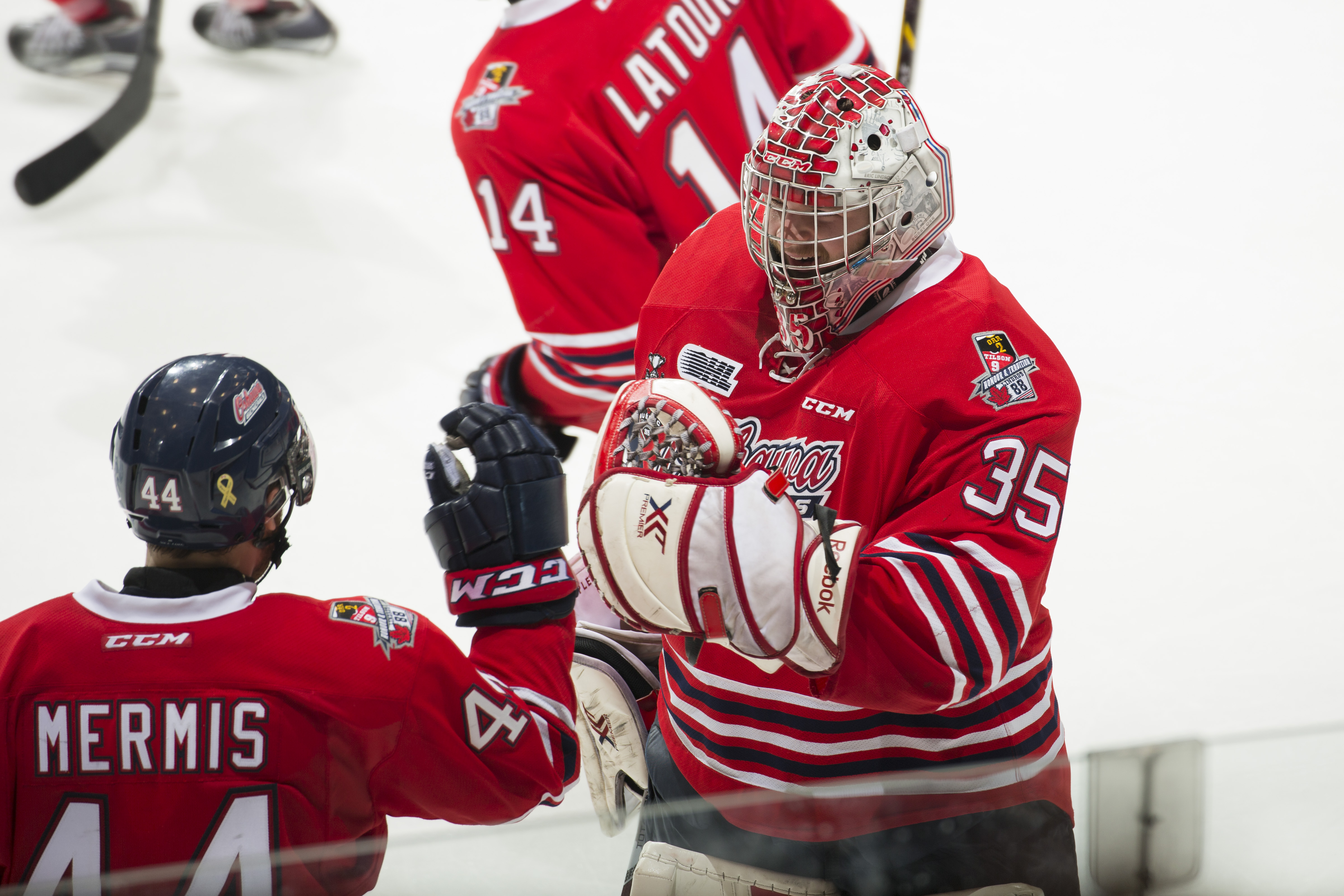 Oshawa Generals against the Erie Otters on May 9, 2015