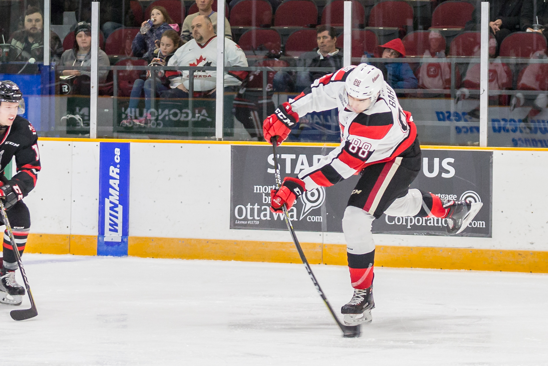 Ottawa 67’s fall 3-0 to the Niagara Ice Dogs