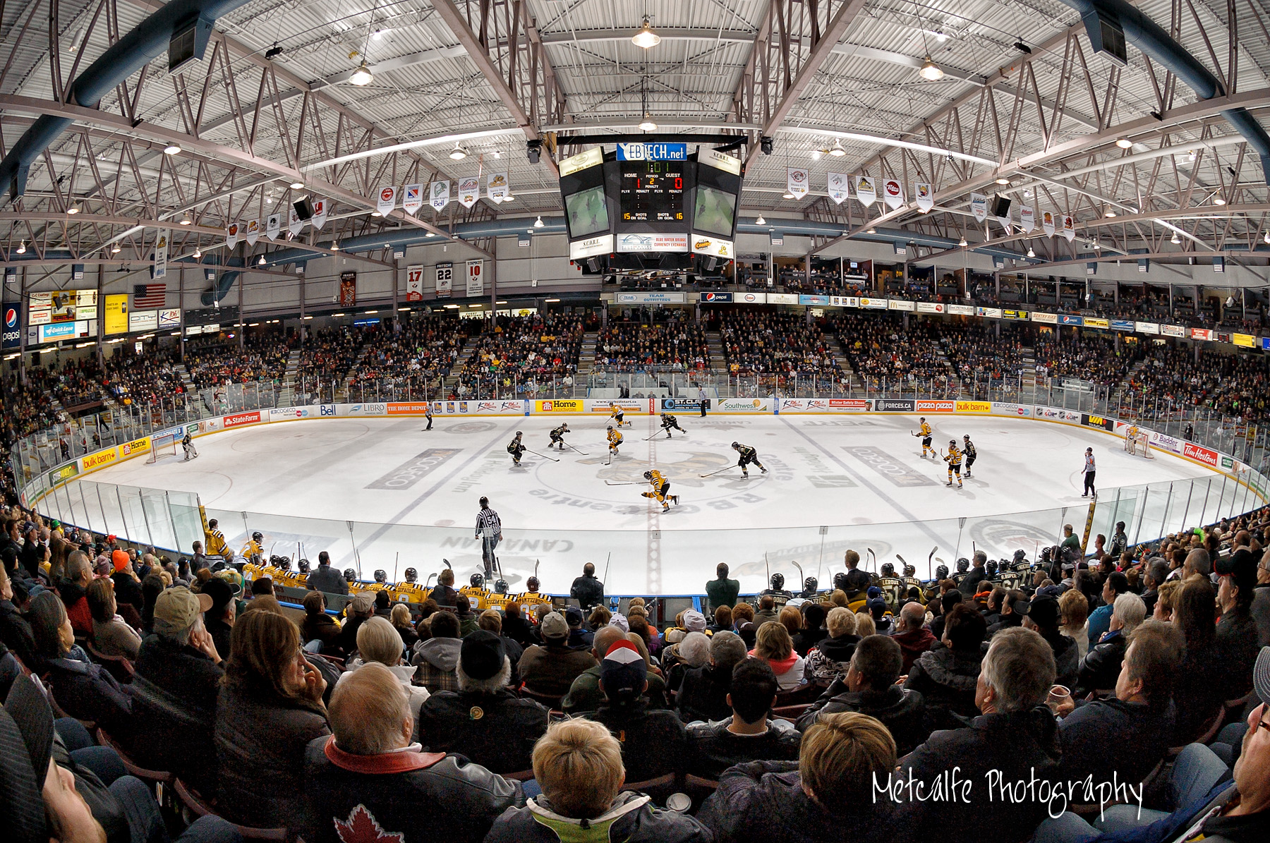 Usher Kickback program Sarnia Sting