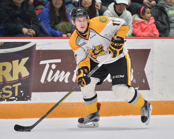Travis Konecny of the Sarnia Sting. Photo by Terry Wilson / OHL Images.