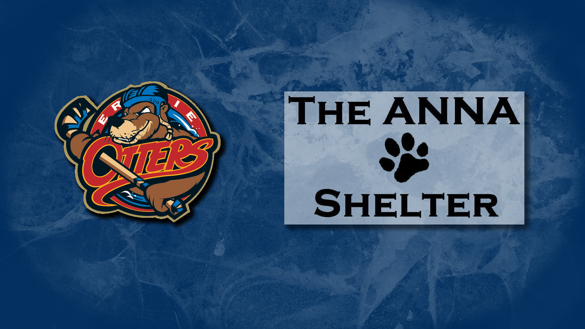 ANNA Shelter Night – Erie Otters