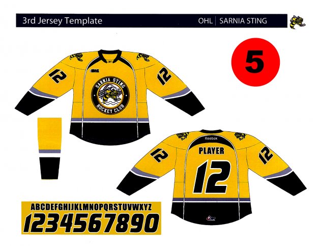 Jersey Contest Finalists are Announced â Sarnia Sting