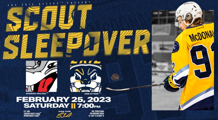 Scout Night Graphic