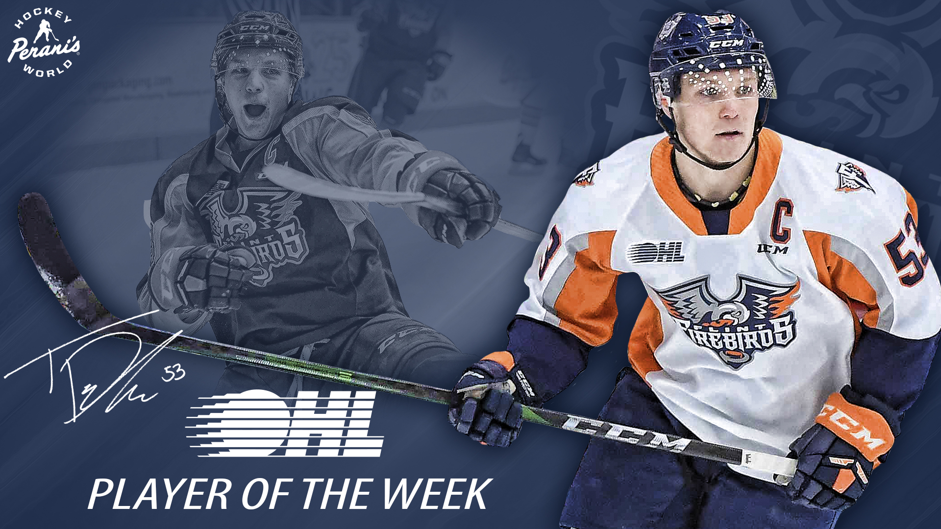 Web, Twitter, TV_Ty POTW