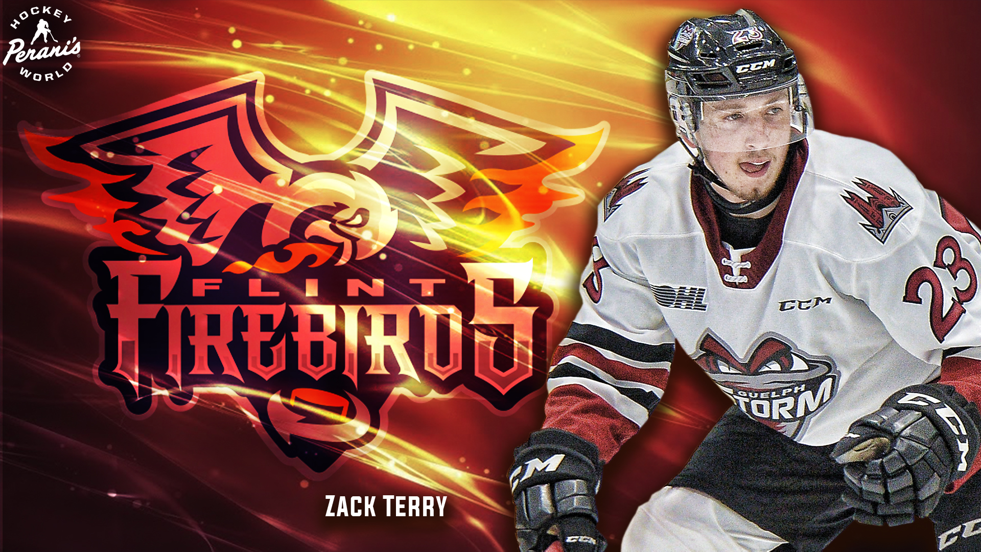 Web, Twitter, TV_Terry