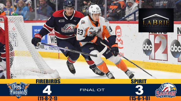 Firebirds Rally to Tie in Third, Fall Short in 4-3 Overtime Defeat to Spirit