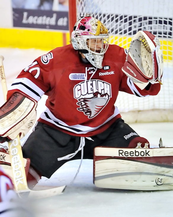 Photo by Terry Wilson / OHL Images.