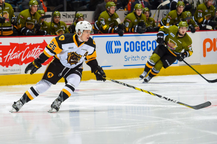 Hamilton Bulldogs alumni Matt Luff
