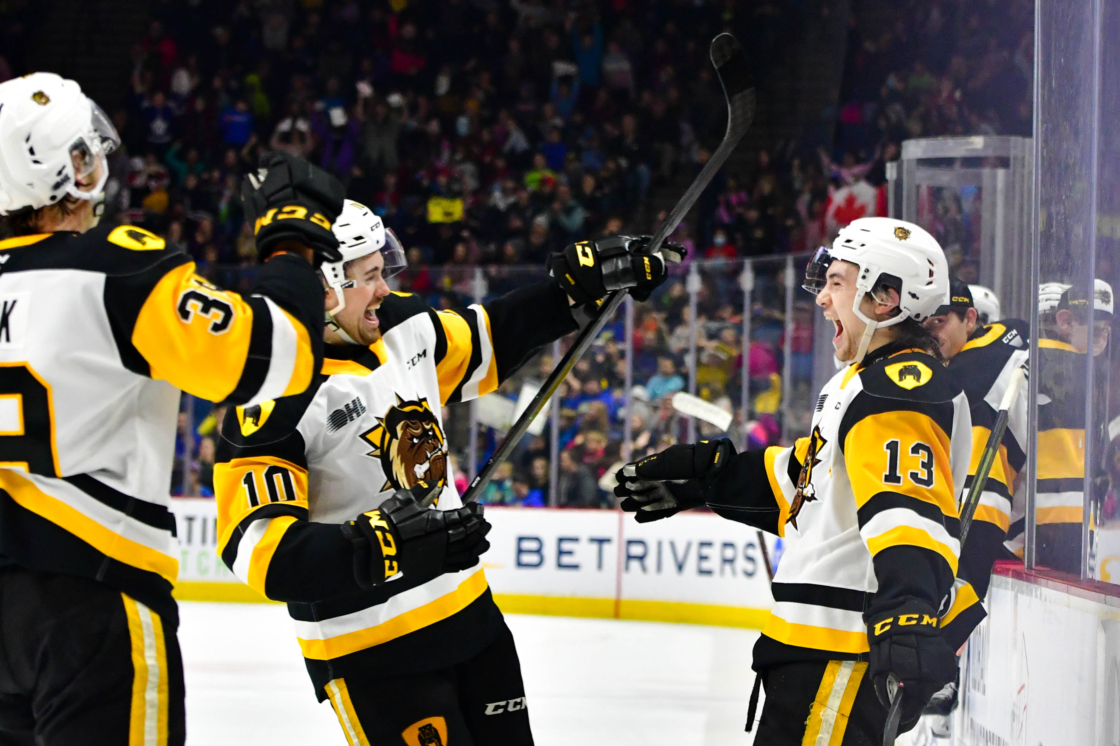 bulldogs-vs-steelheads-highlights-december-7-2022-hamilton-bulldogs