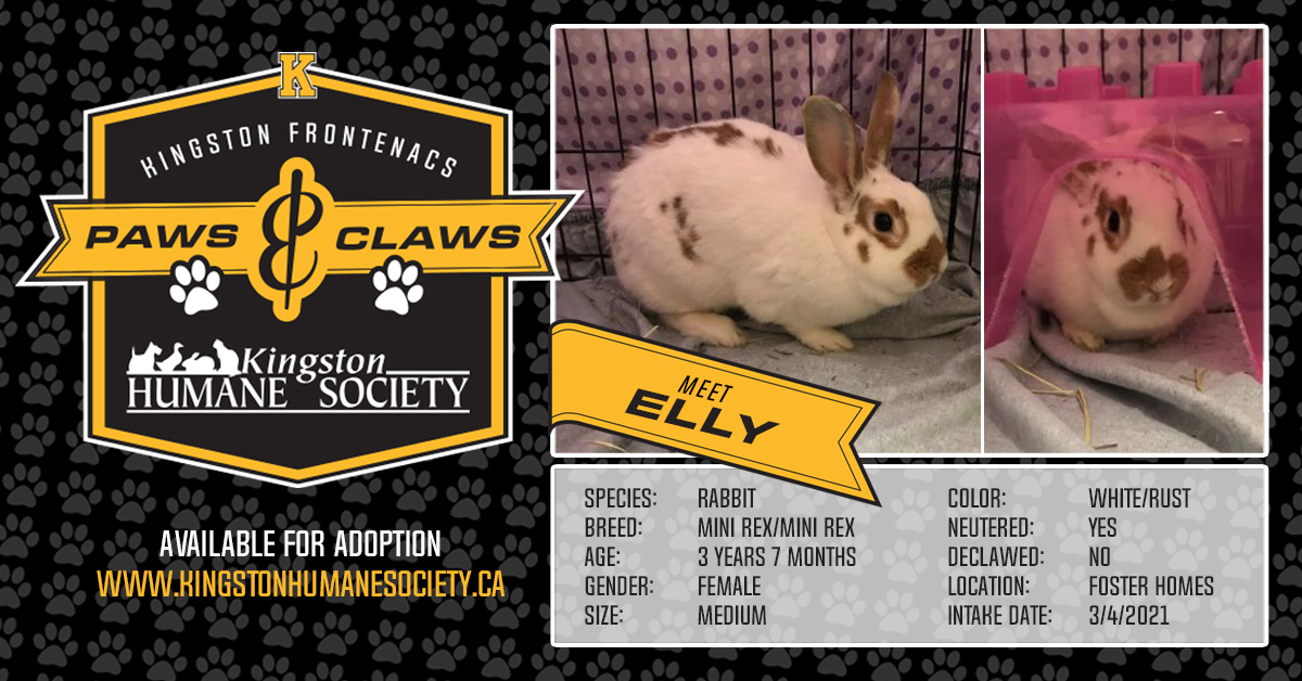 Meet Elly