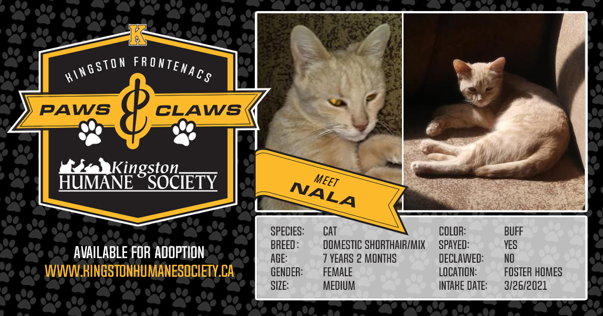 Fronts Paws & Claws - Meet Nala