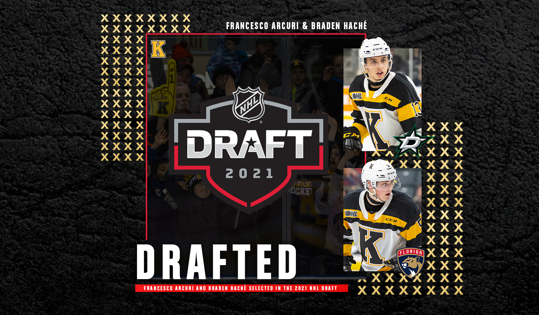 Arcuri and Haché drafted into the National Hockey League