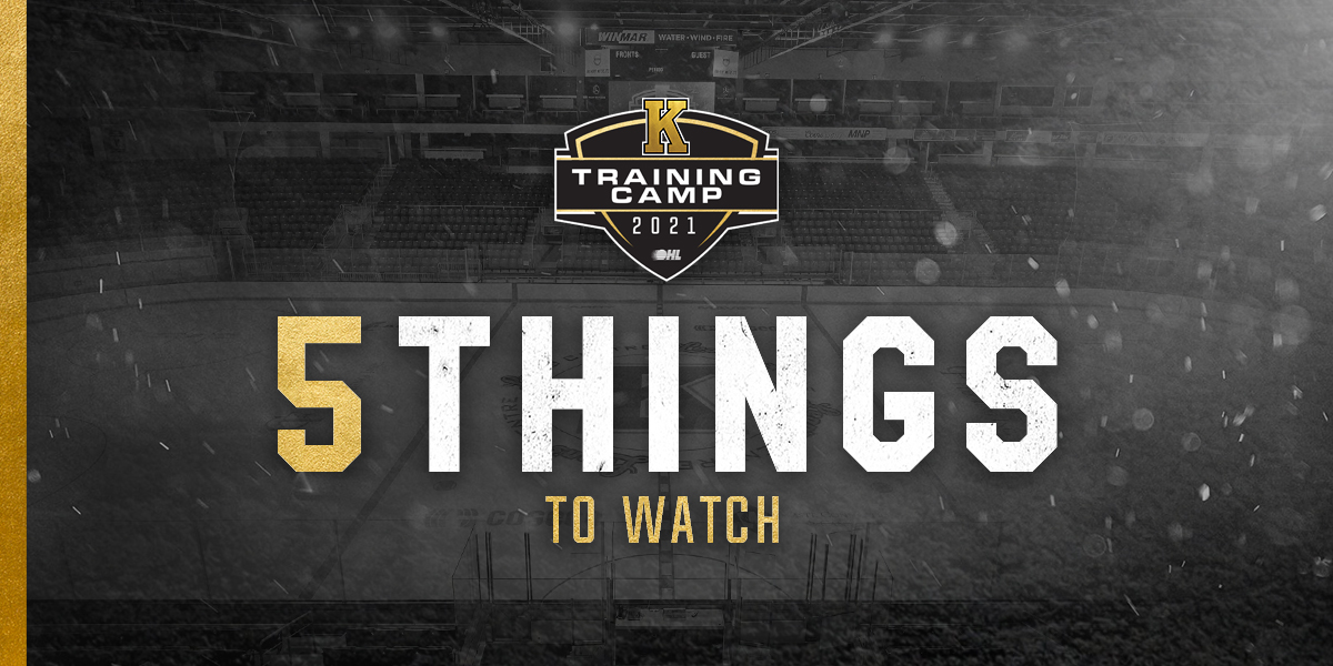 Training Camp 5 Things