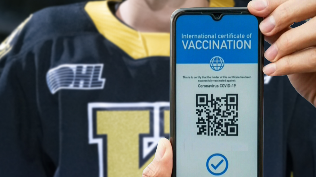 Download a vaccine certificate with a QR code
