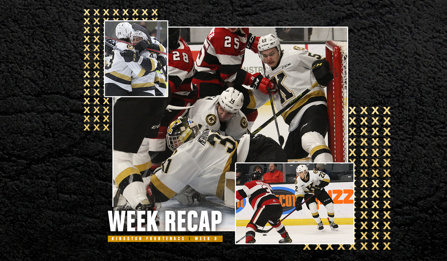 Week 8 Recap