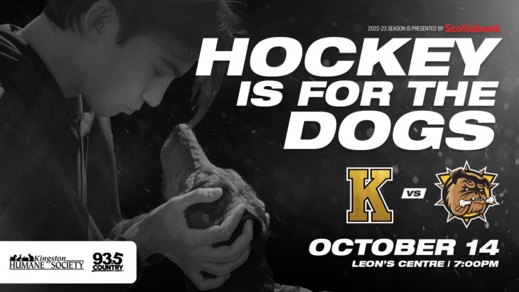 Hockey is for the Dogs