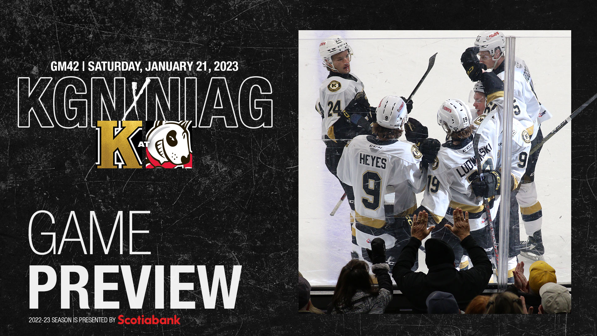 Game Preview: Kingston at Niagara