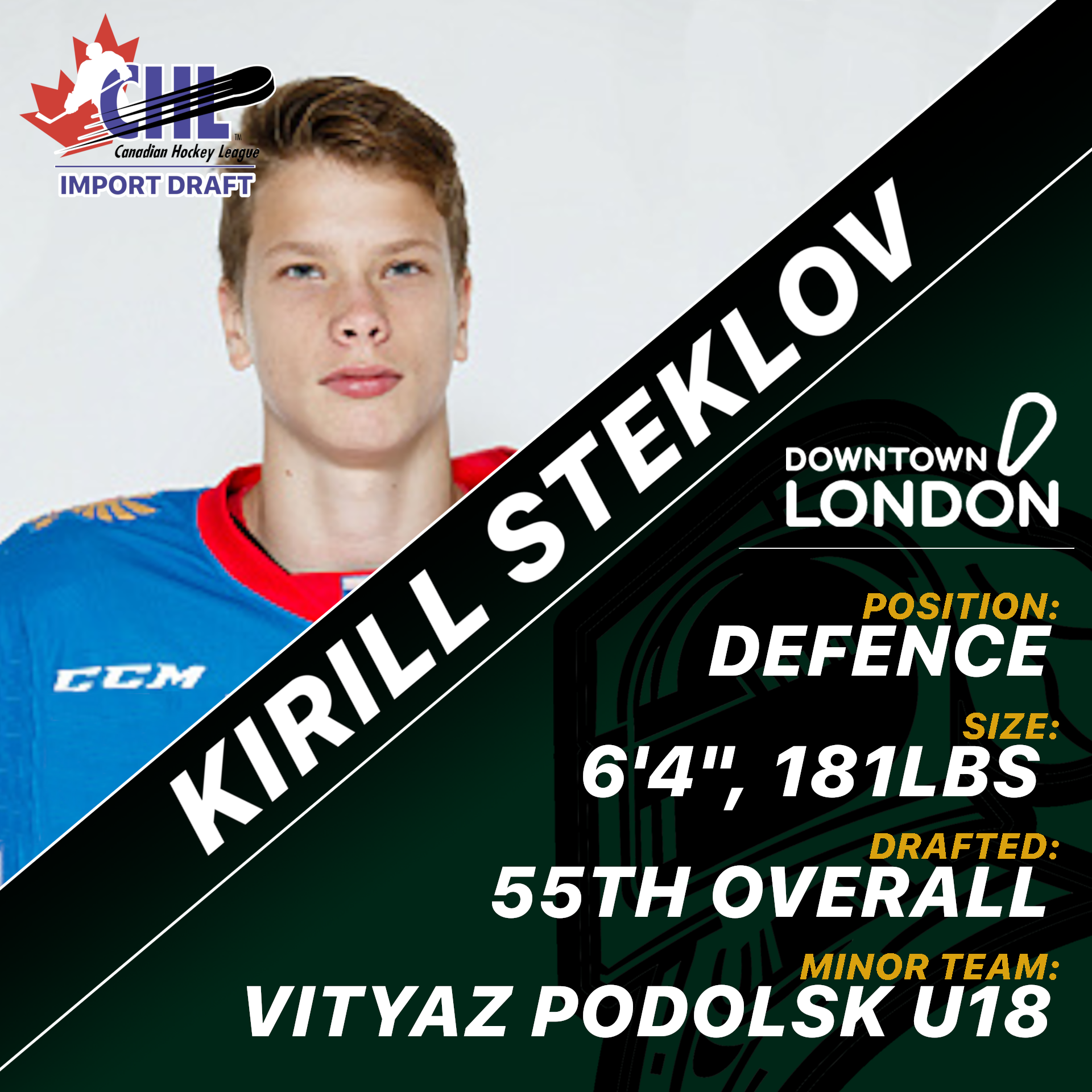Steklov Import Pick