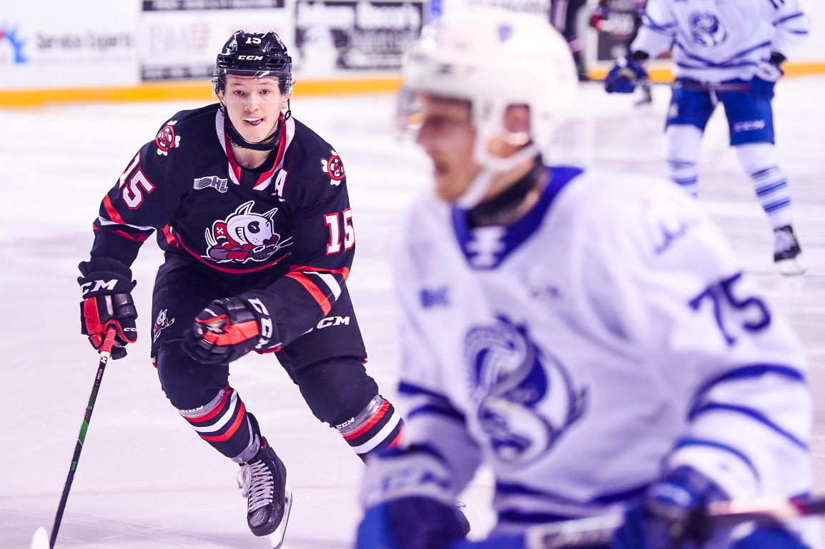 IceDogs Pick up a Big Two Points at Home Niagara IceDogs