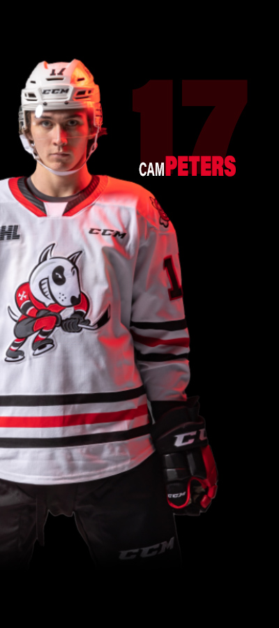 niagara icedogs jersey