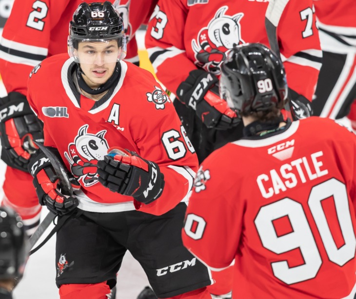 IceDogs Win after Scoring 3 goals in the 3rd â Niagara IceDogs