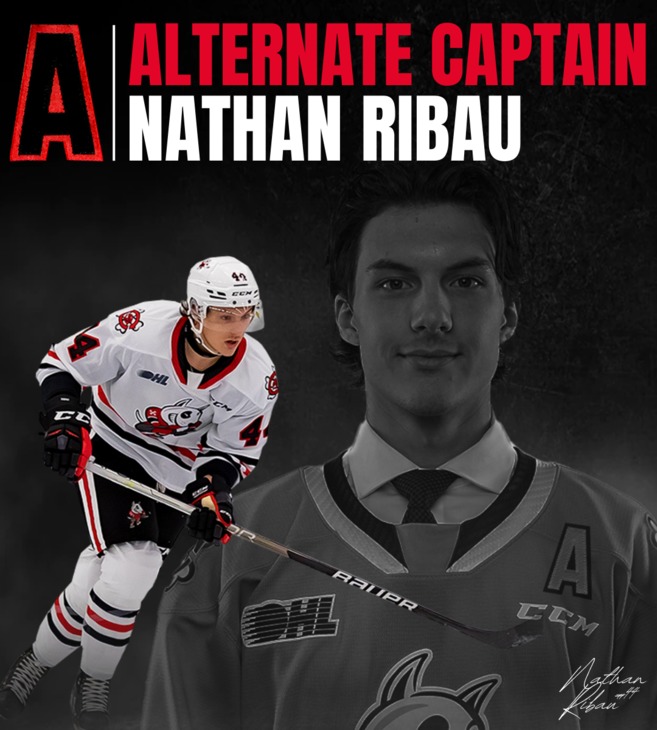 IceDogs Announce Nathan Ribau as Alternate Captain BVM Sports