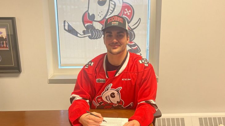 Niagara IceDogs sign Gabriel Runco