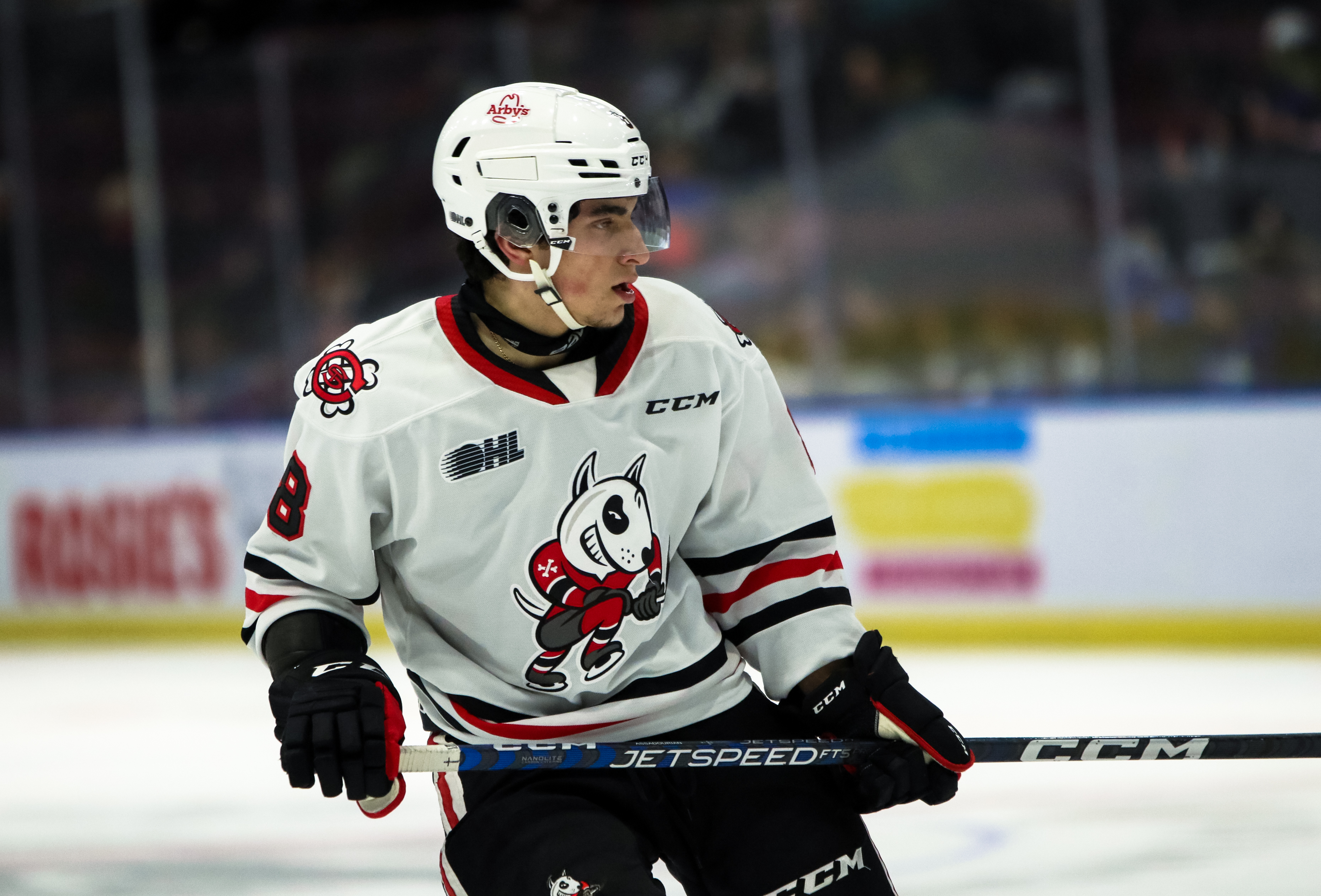 Alex Assadourian of the Alex Assadourian. Photo by Natalie Shaver/OHL Images