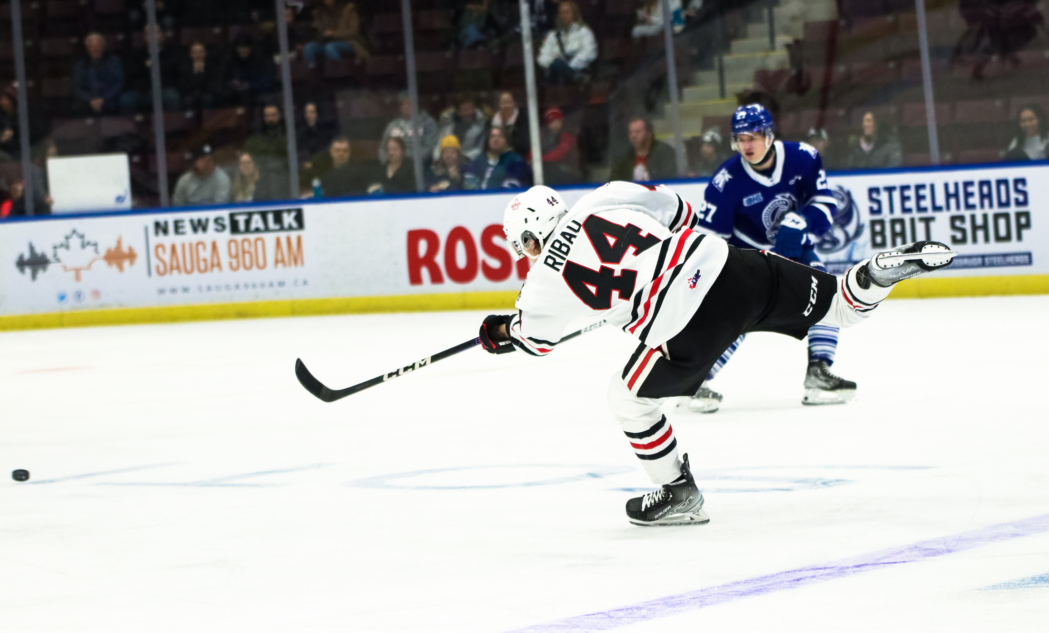 Nathan Ribau of the Niagara IceDogs. Photo by Natalie Shaver/OHL Images