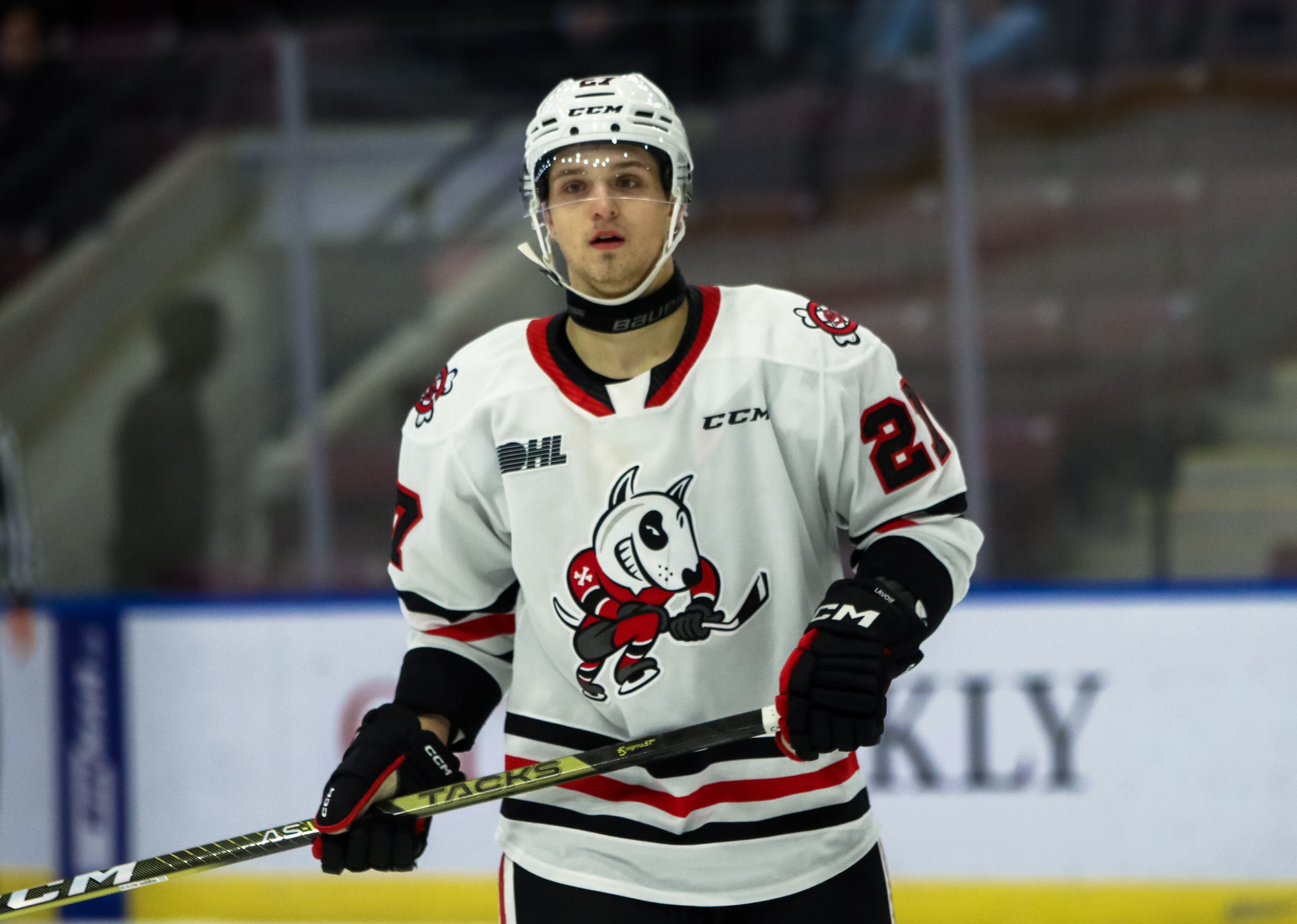 Zakary Lavoie of the Niagara IceDogs. Photo by Natalie Shaver/OHL Images