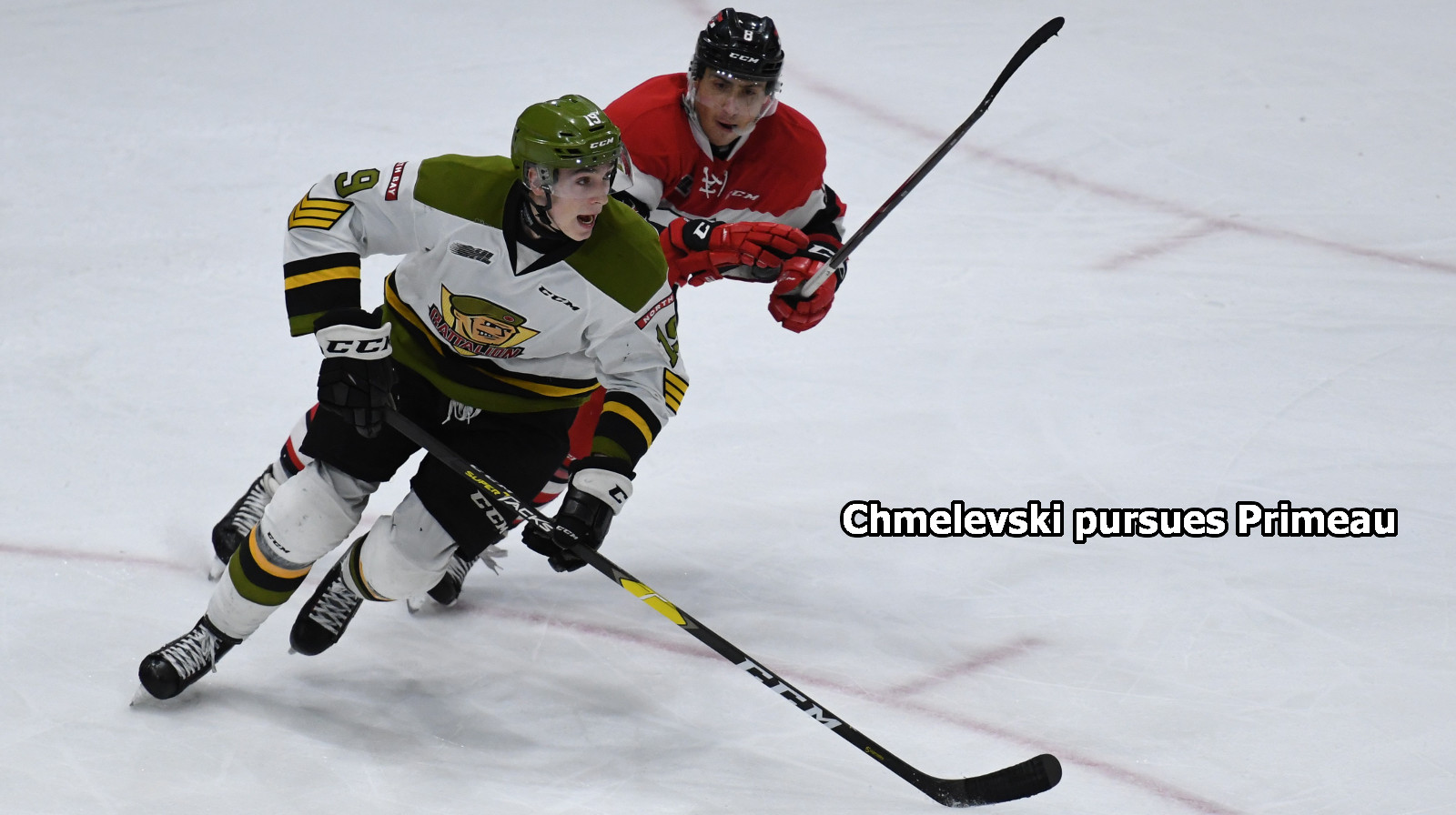 Chmelevski pursues Primeau