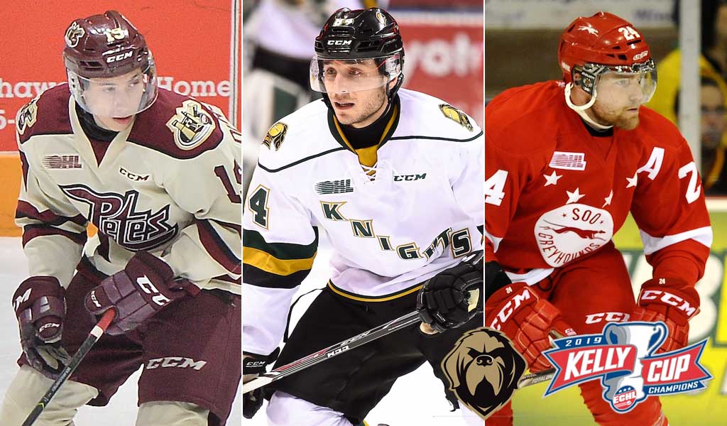 Three OHL grads win Kelly Cup title with Newfoundland Ontario Hockey