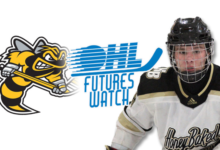 futures-watch-sarnia-sting-ontario-hockey-league