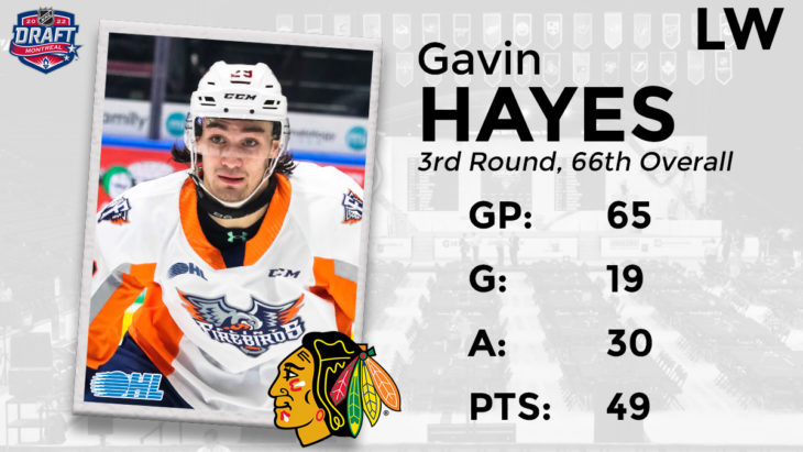 Hayes_CHI